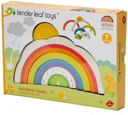 Rainbow toy by tender leaf toys packaging