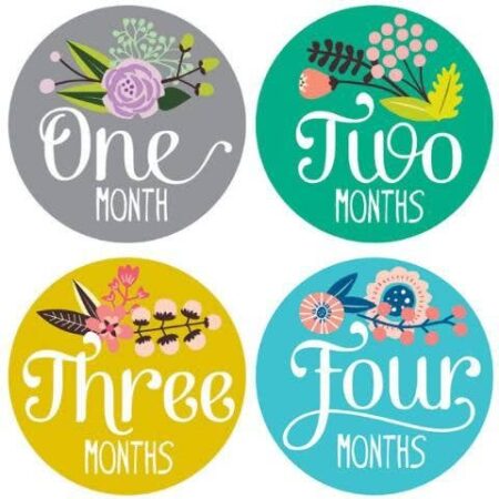Lucy Darling Little Artist 12 Month Milestone Stickers