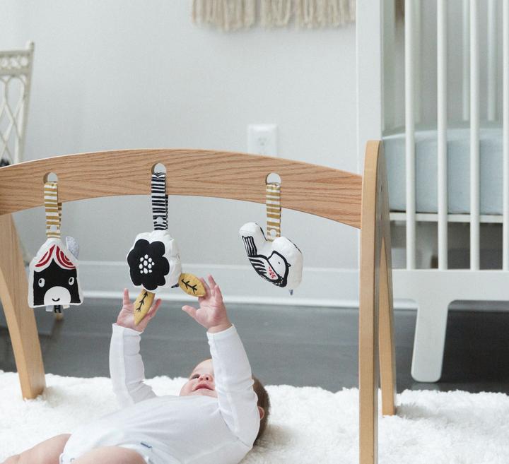 Organic Baby Toys