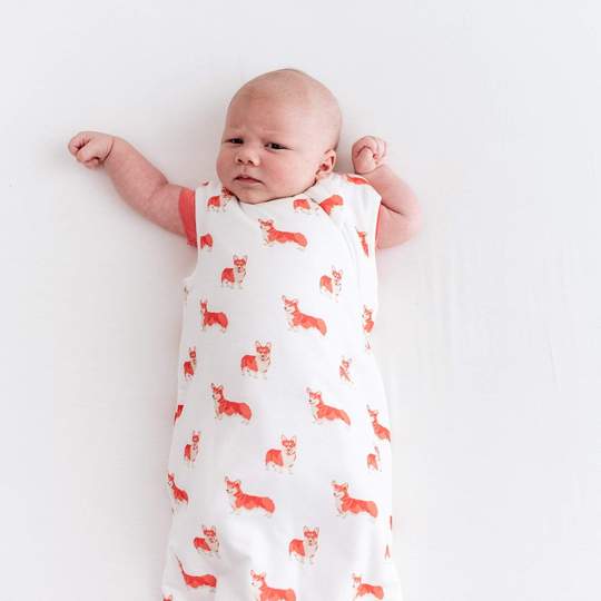 Kyte BABY Sleep Bag in Corgi 1.0 TOG