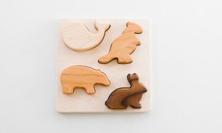 Bannor Toys Chunky Wooden Animal Puzzle