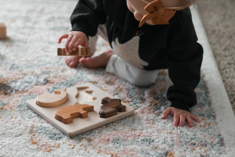 Bannor Toys Chunky Wooden Animal Puzzle