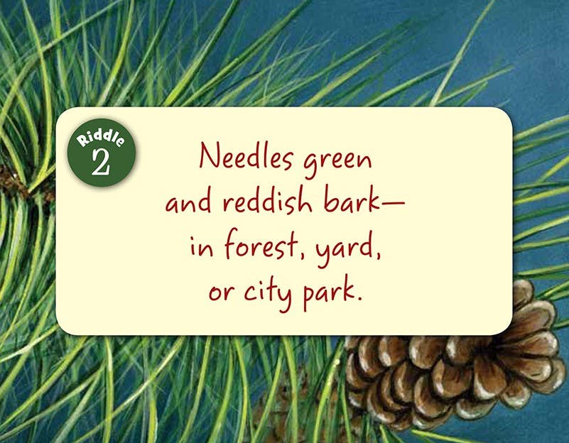 Little Minnesota Toddler Board Book