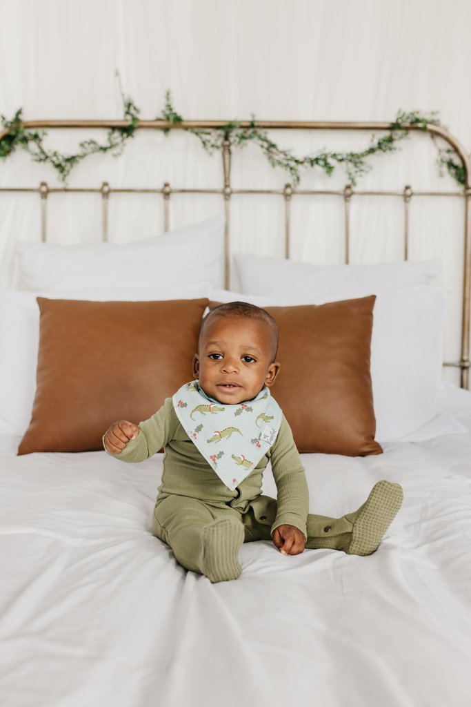 Copper Pearl Polar Baby Bandana Bib Set 4-Pack