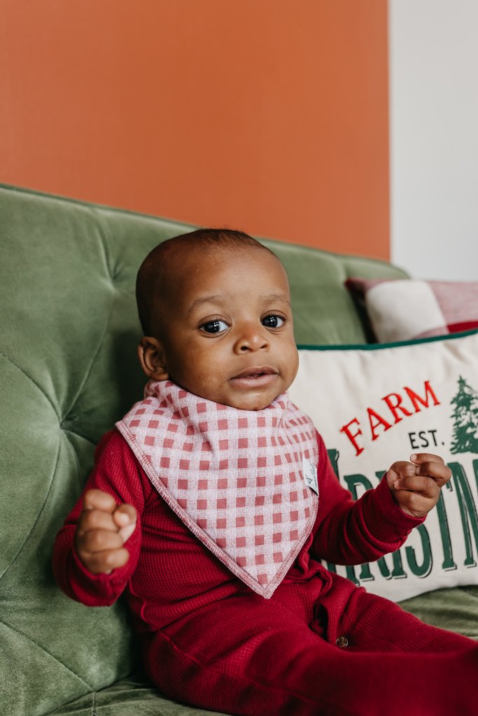 Copper Pearl Polar Baby Bandana Bib Set 4-Pack