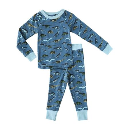 Lola & Taylor Dino Fossils Organic Cotton Pajama Set