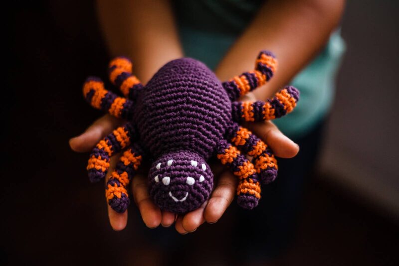 Purple Spider Rattle from Pebble