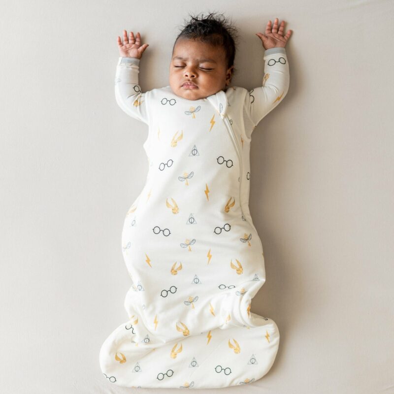 Kyte BABY Sleep Bag in Icon 1.0 TOG