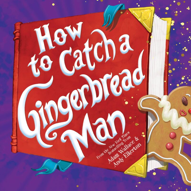 Sourcebooks How to Catch a Gingerbread Man Hardcover Book Sourcebooks How to Catch a Gingerbread Man Hardcover Book