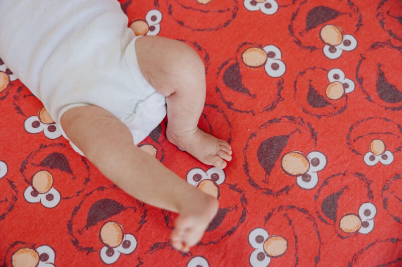 Elmo Crib Sheet from Copper Pearl