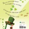 How to Catch a Leprechaun Hardcover Book from Sourcebooks