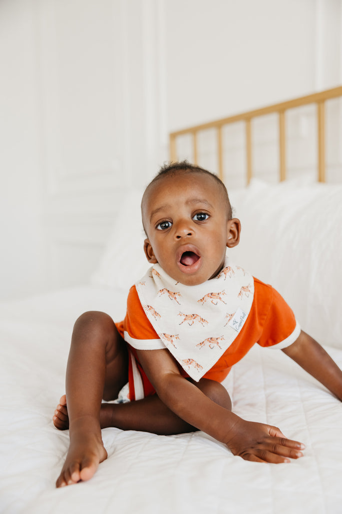 Swift Bandana Bib Set 4-Pack from Copper Pearl
