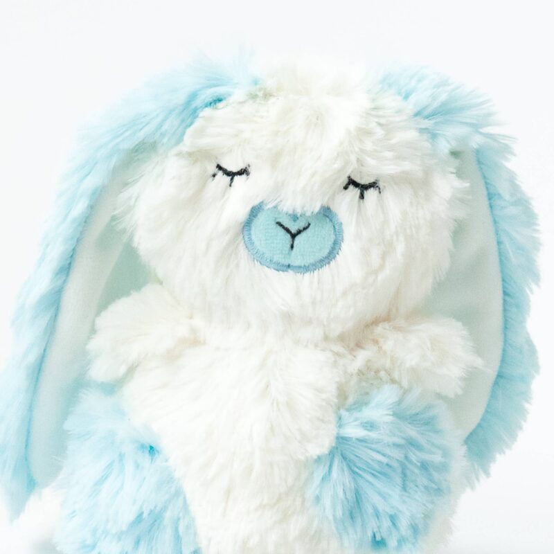 Blue Bunny Mini & Bigfoot Lesson Book- Self Esteem from Slumberkins