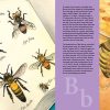 H is for Honey Bee: A Beekeeping Alphabet Hardcover Book from Sleeping Bear Press