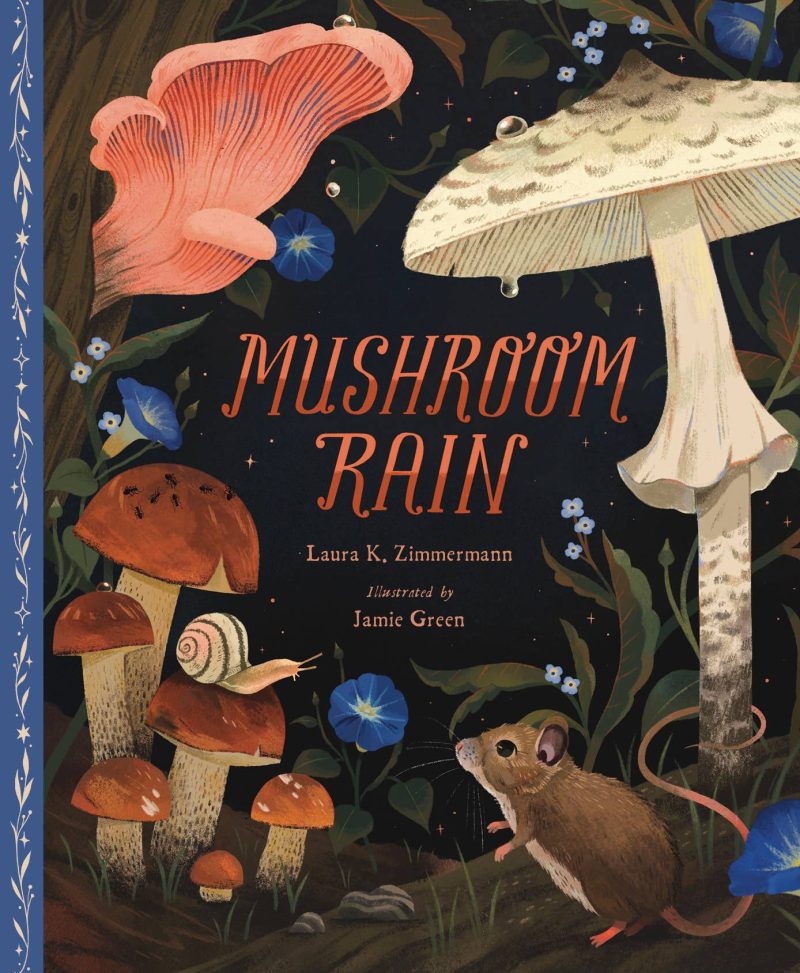 Sleeping Bear Press Mushroom Rain Hardcover Book