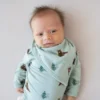 Kyte BABY Bib in Trail