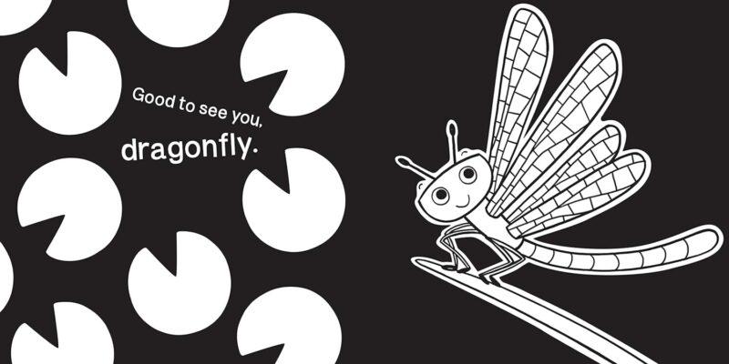 Garden Bugs from Sourcebooks