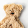 Honey Bear Snuggler 2 Book Bundle from Slumberkins