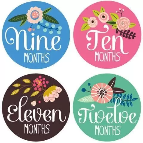 Lucy Darling Milestone Stickers for Baby