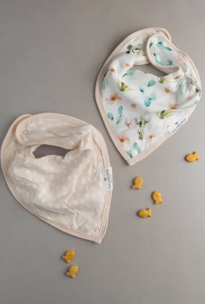 Loulou Lollipop Cactus Floral Bandana Bib Set