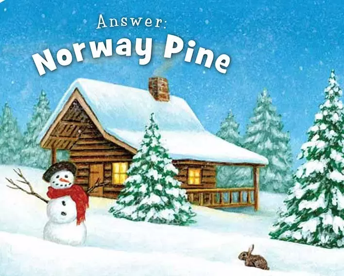 Little Minnesota Toddler Board Book