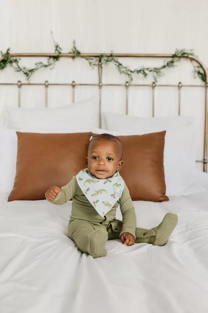 Copper Pearl Polar Baby Bandana Bib Set 4-Pack