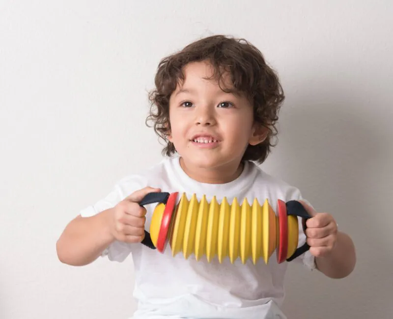 PlanToys Concertina Play Accordion