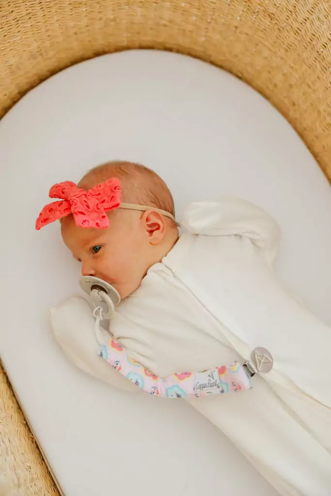 Abby and Pals Binky Clip Set from Copper Pearl