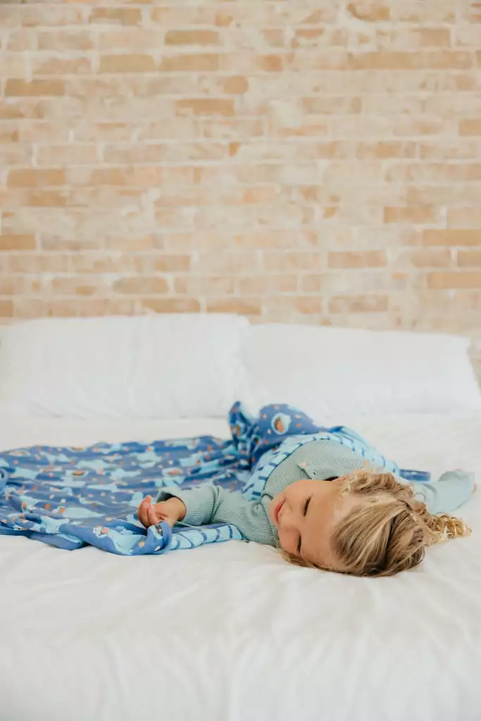 Cookie Monster 3-Layer Quilt made by Copper Pearl