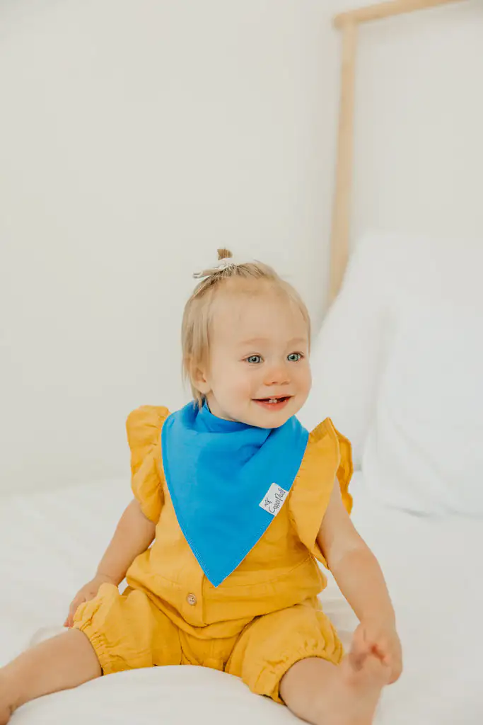 Blueberry Bandana Bib Set 4-Pack from Copper Pearl