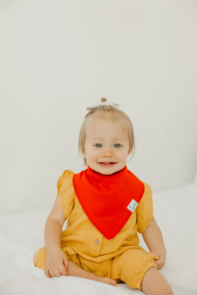 Copper Pearl Blueberry Bandana Bib Set 4-Pack Feeding