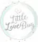 Little Love Bug Company