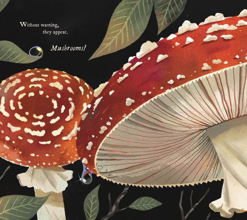 Mushroom Rain Hardcover Book from Sleeping Bear Press