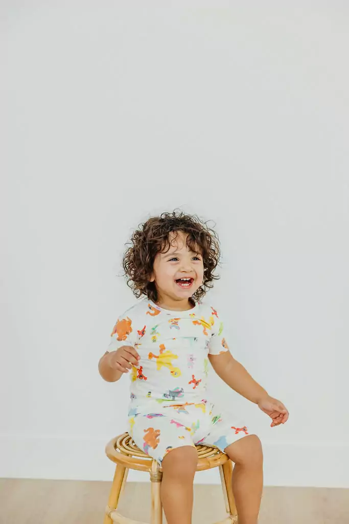 Sesame Friends Short Sleeve Pajama Set from Copper Pearl