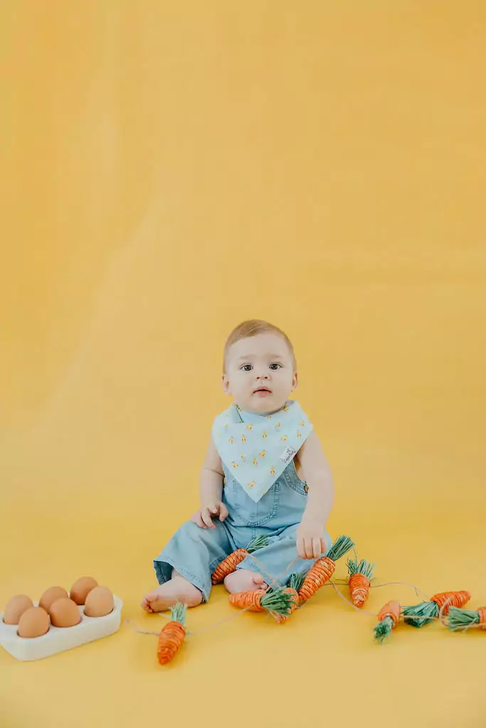 Peter Bandana Bib Set 4-Pack made by Copper Pearl