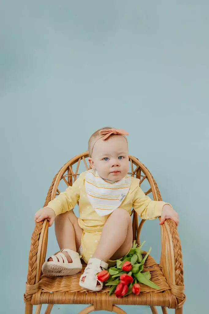 Copper Pearl Peter Bandana Bib Set 4-Pack Feeding