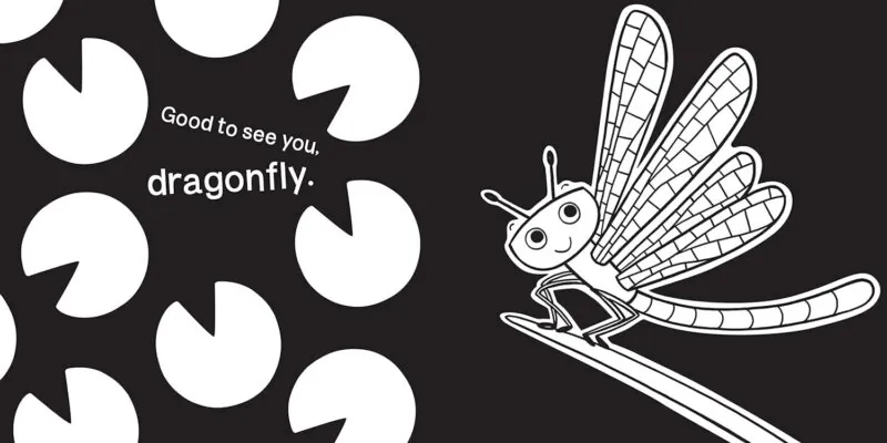 Garden Bugs from Sourcebooks