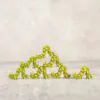 Caterpillar Wooden Figurine from Wooden Caterpillar Toys