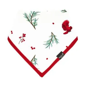 Kyte BABY Bib in Winterberry 