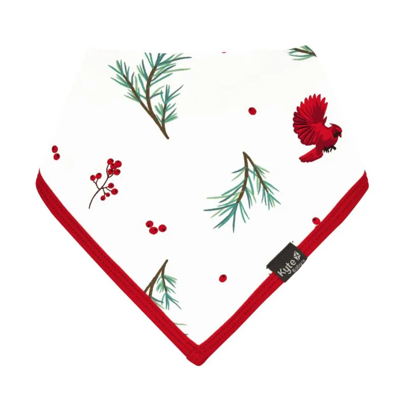 Kyte BABY Bib in Winterberry 