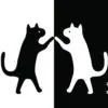 Sourcebooks Black Cat & White Cat Board Book Chidlren's Books