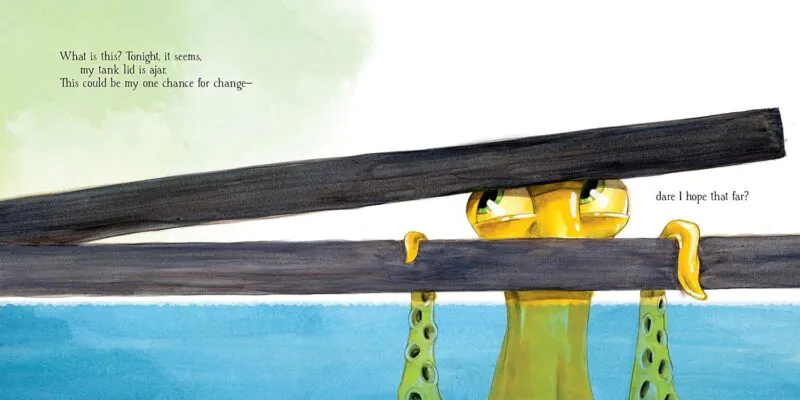 Sourcebooks Inky the Octopus Hardcover Book part of our  collection