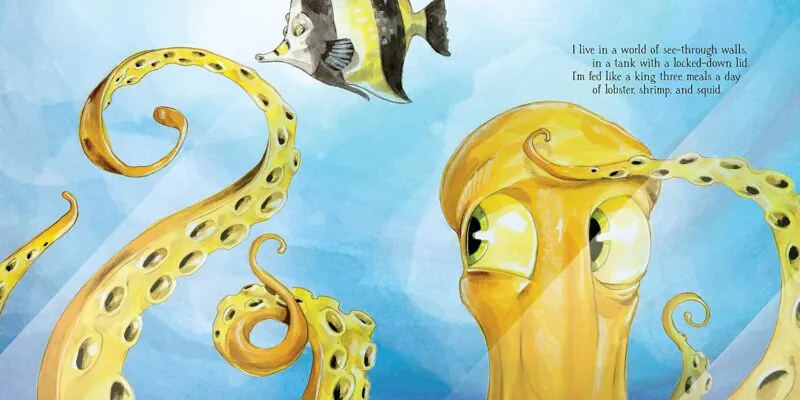 Inky the Octopus Hardcover Book from Sourcebooks