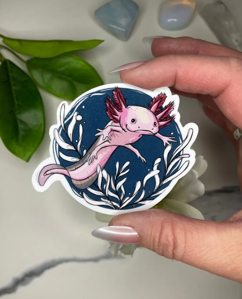 Axolotl Sticker from A Dresser Drawer