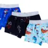 Birdie Bean Pirates Bamboo Viscose Boxer Brief Set