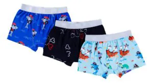 Birdie Bean Pirates Bamboo Viscose Boxer Brief Set
