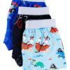 Birdie Bean Pirates Bamboo Viscose Boxer Brief Set