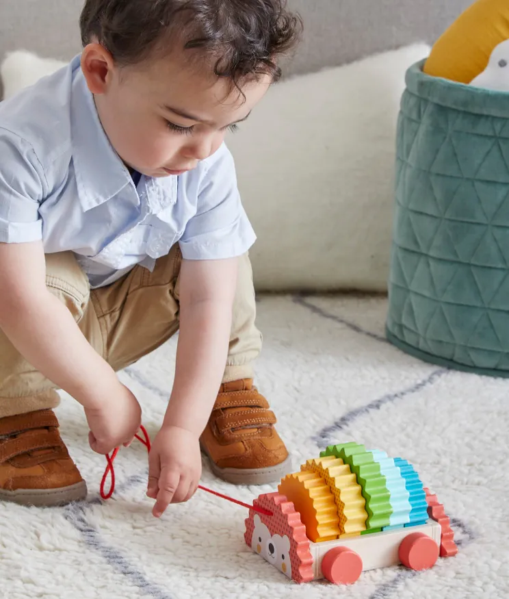 Rainbow Hedgehog Wooden Pull Toy from Petit Collage