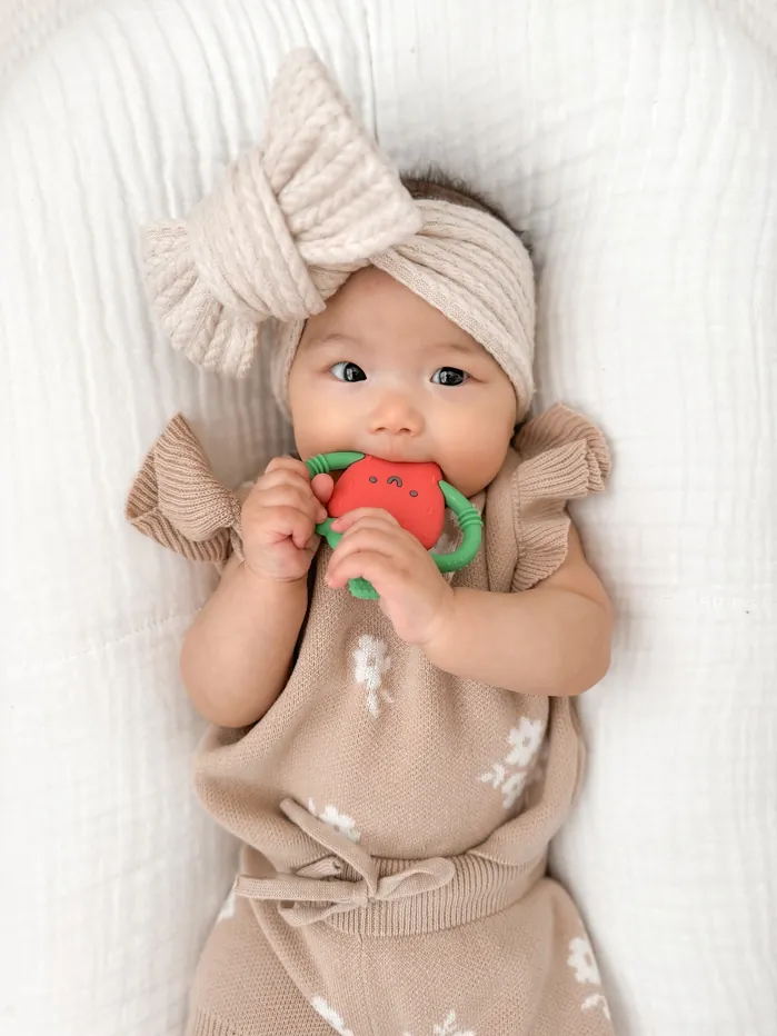 Itzy Ritzy Strawberry Chew Crew Toys