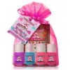 Piggy Paint Birthday Cake Shake Gift Set